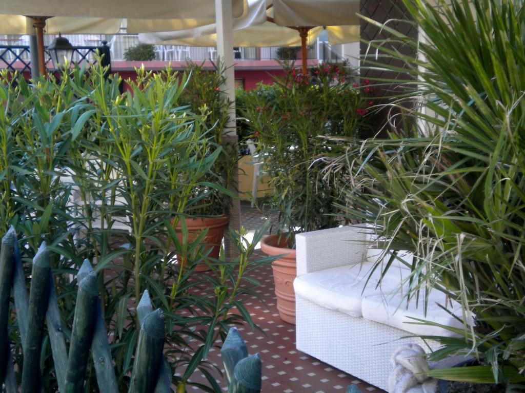 Hotel Nova Dhely Rimini Exterior photo